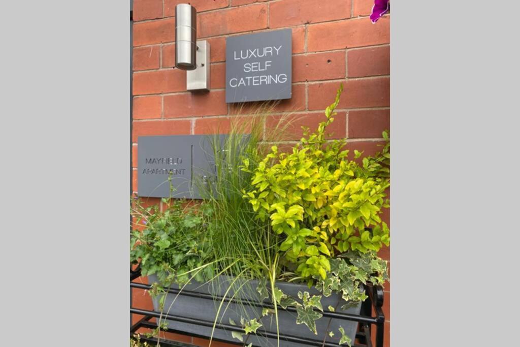 Mayfield Apartment Luxury First Floor 1 Bedroom Apartment Great Eccleston Eksteriør billede